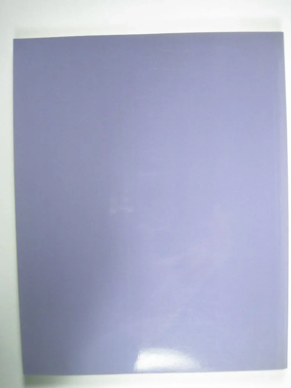 Jasper Johns Work Since 1974 Catalog Philadelphia Museum Art 1988 Rosenthal